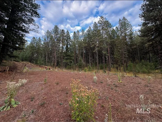 $255,000 | Lot 26 Meadow Drive, New Meadows, ID 83654