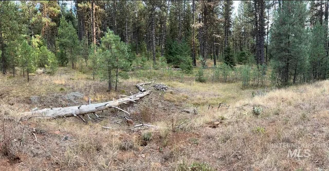 $255,000 | Lot 26 Meadow Drive, New Meadows, ID 83654