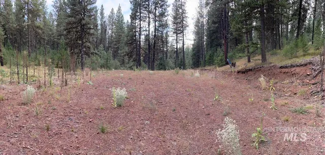 $255,000 | Lot 26 Meadow Drive, New Meadows, ID 83654