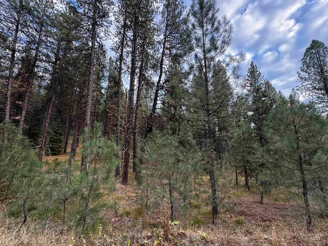 $255,000 | Lot 26 Meadow Drive, New Meadows, ID 83654