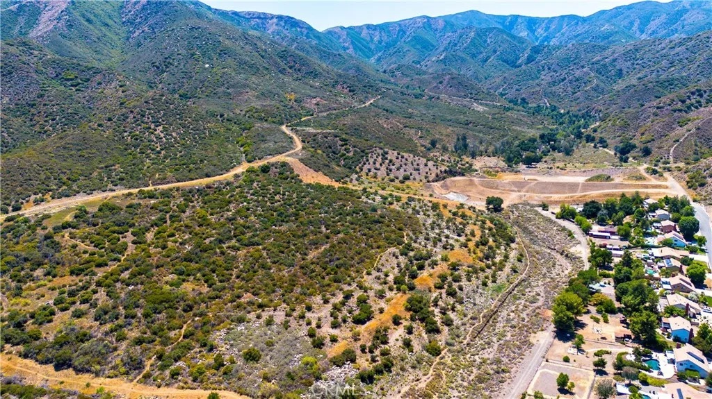 a view of a forest with a yard