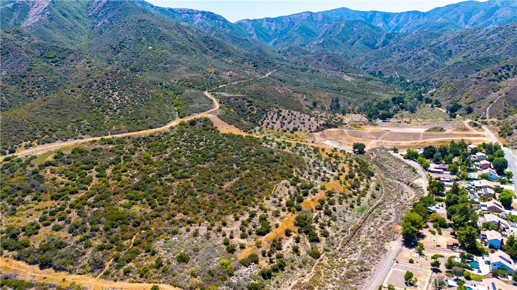 a view of a forest with a yard