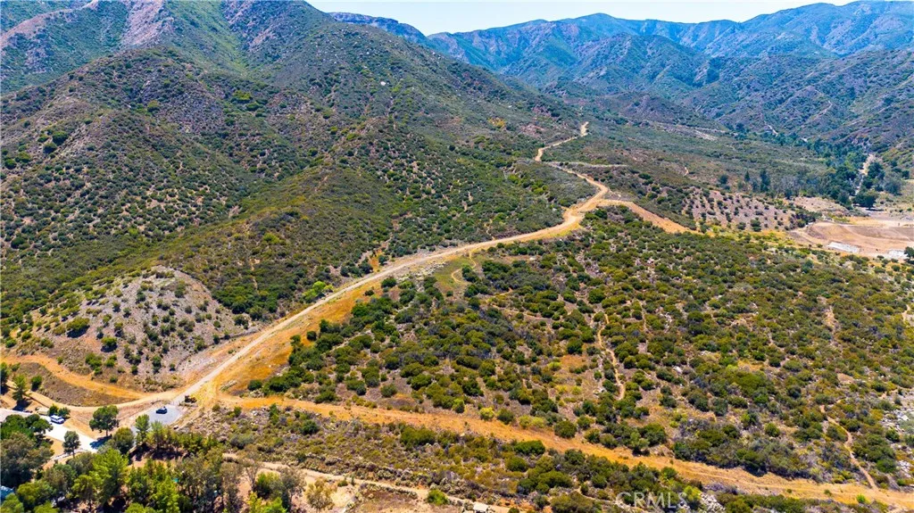 0 Leach Canyon Road Rosemead, CA 91770 - Photo 12 of 18 a view of a yard with plants and large trees