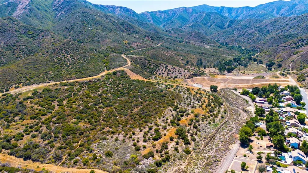 0 Leach Canyon Road Rosemead, CA 91770 - Photo 13 of 18 a view of a forest with a yard