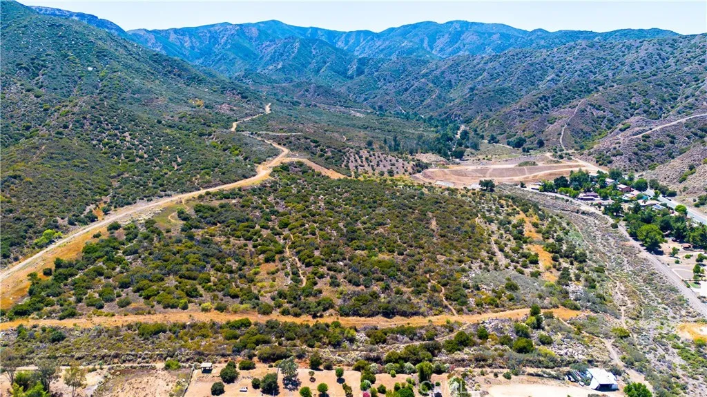 0 Leach Canyon Road Rosemead, CA 91770 - Photo 17 of 18 a view of a forest with a forest