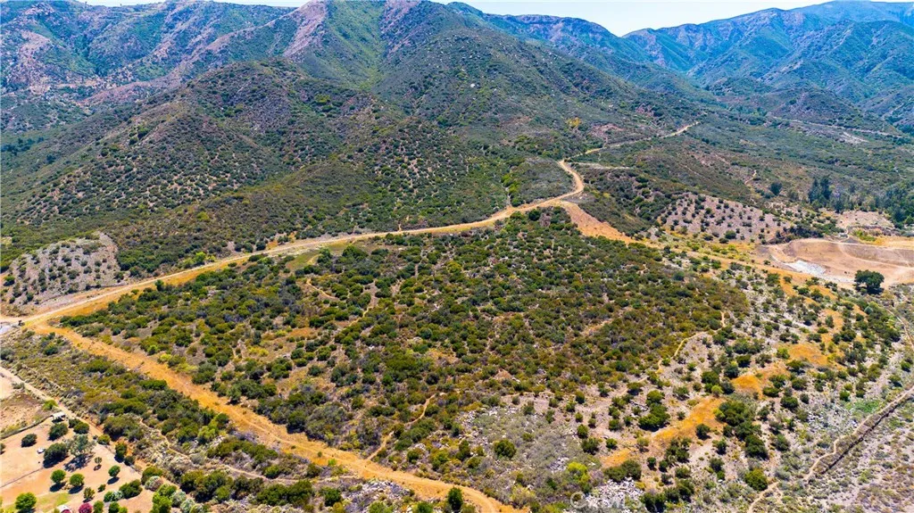 0 Leach Canyon Road Rosemead, CA 91770 - Photo 7 of 10 a view of a yard with plants