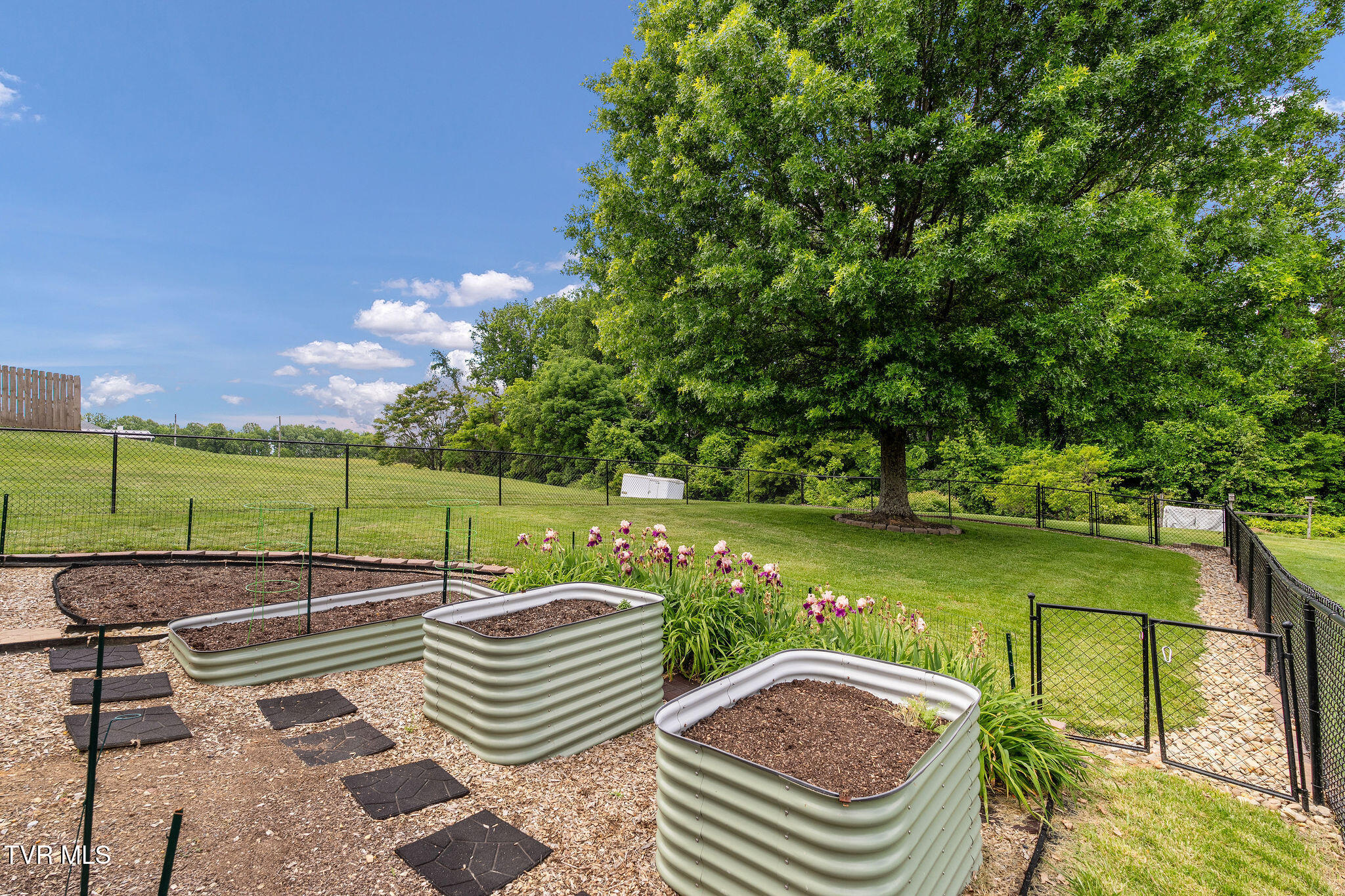 507 Headtown Road Jonesborough, TN 37659 - Photo 85 of 88 DSC01883