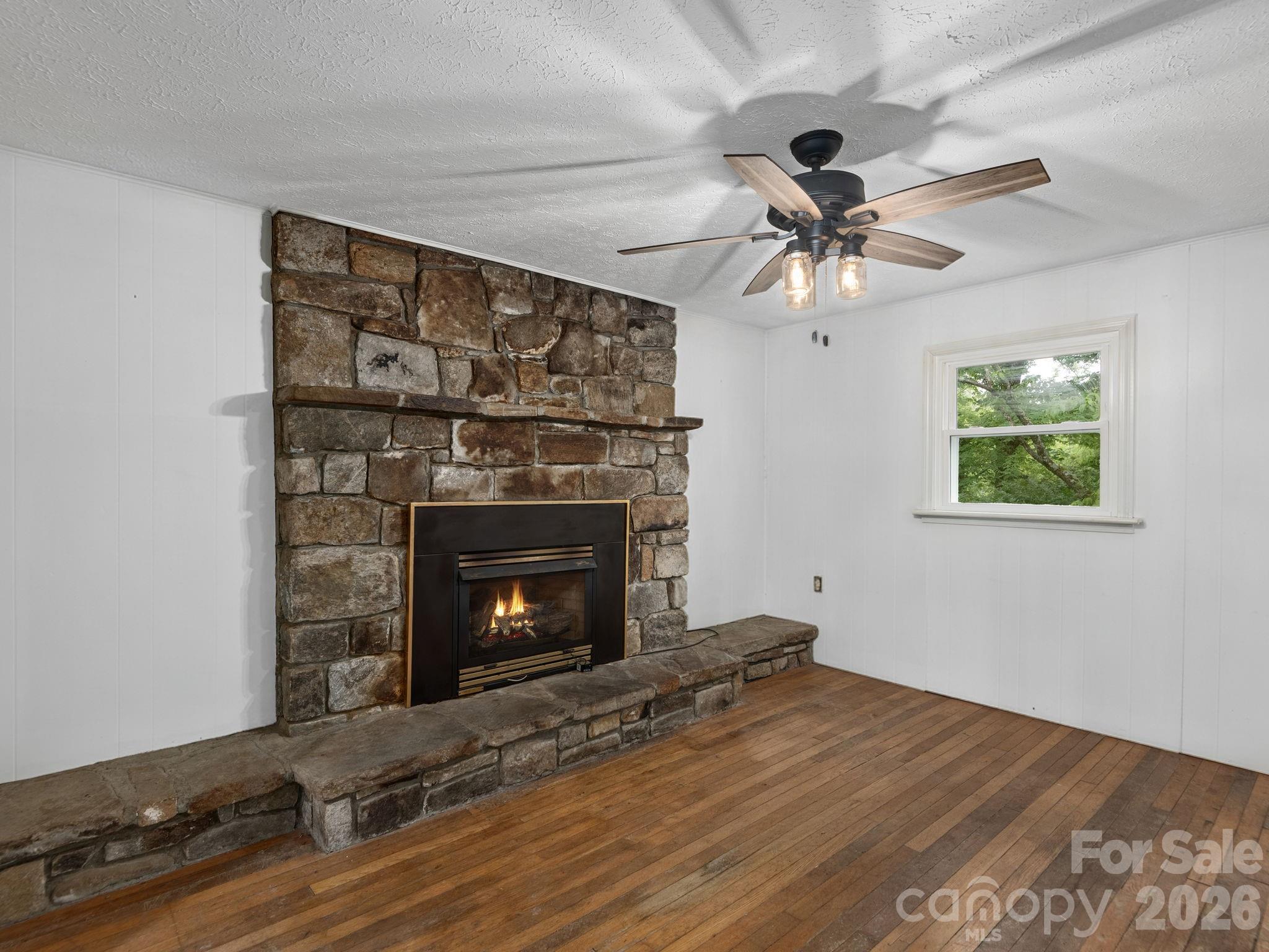 24 Piney Ridge Mountain Road Zirconia, NC 28790 - Photo 3 of 22