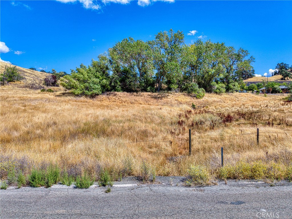 4378 Hill Road Lakeport, CA 95453 - Photo 11 of 38 a view of a yard