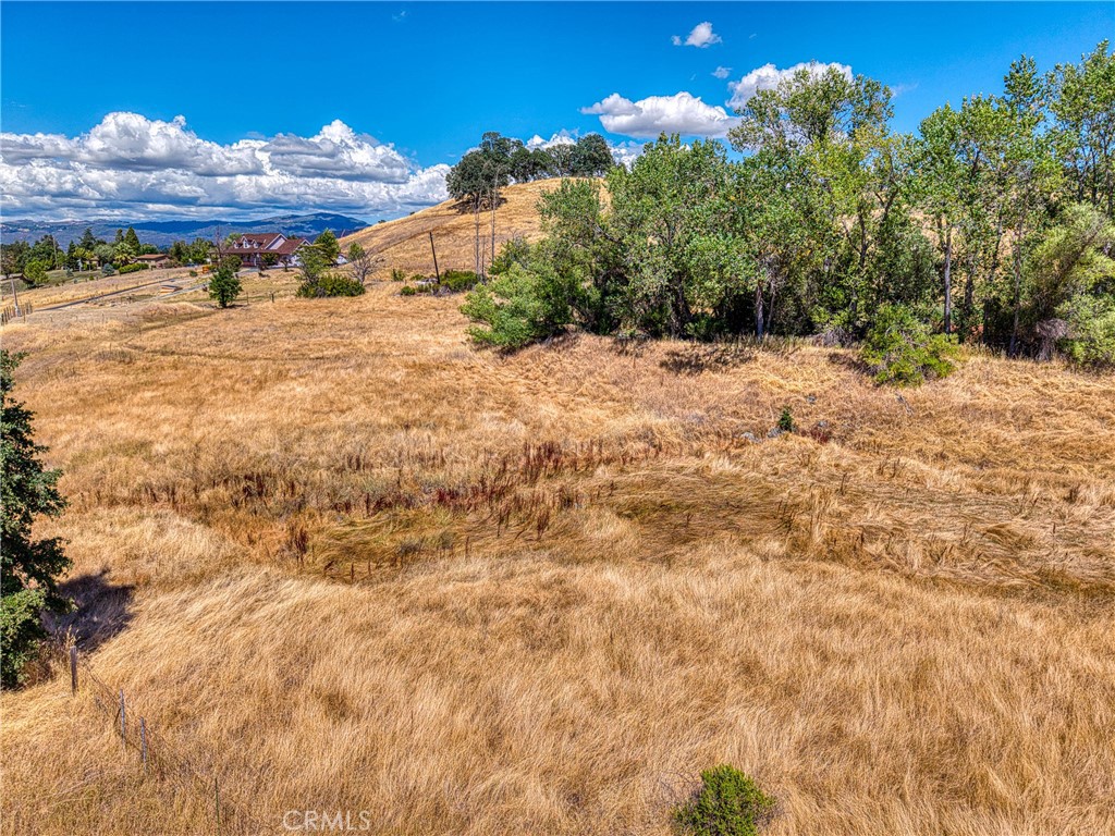 4378 Hill Road Lakeport, CA 95453 - Photo 13 of 38 a view of large trees with wooden fence