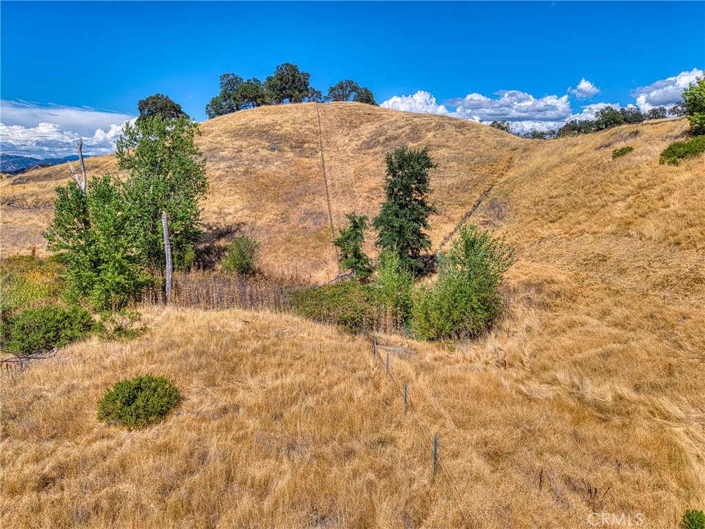 4378 Hill Road Lakeport, CA 95453 - Photo 25 of 38 a view of a yard with a tree