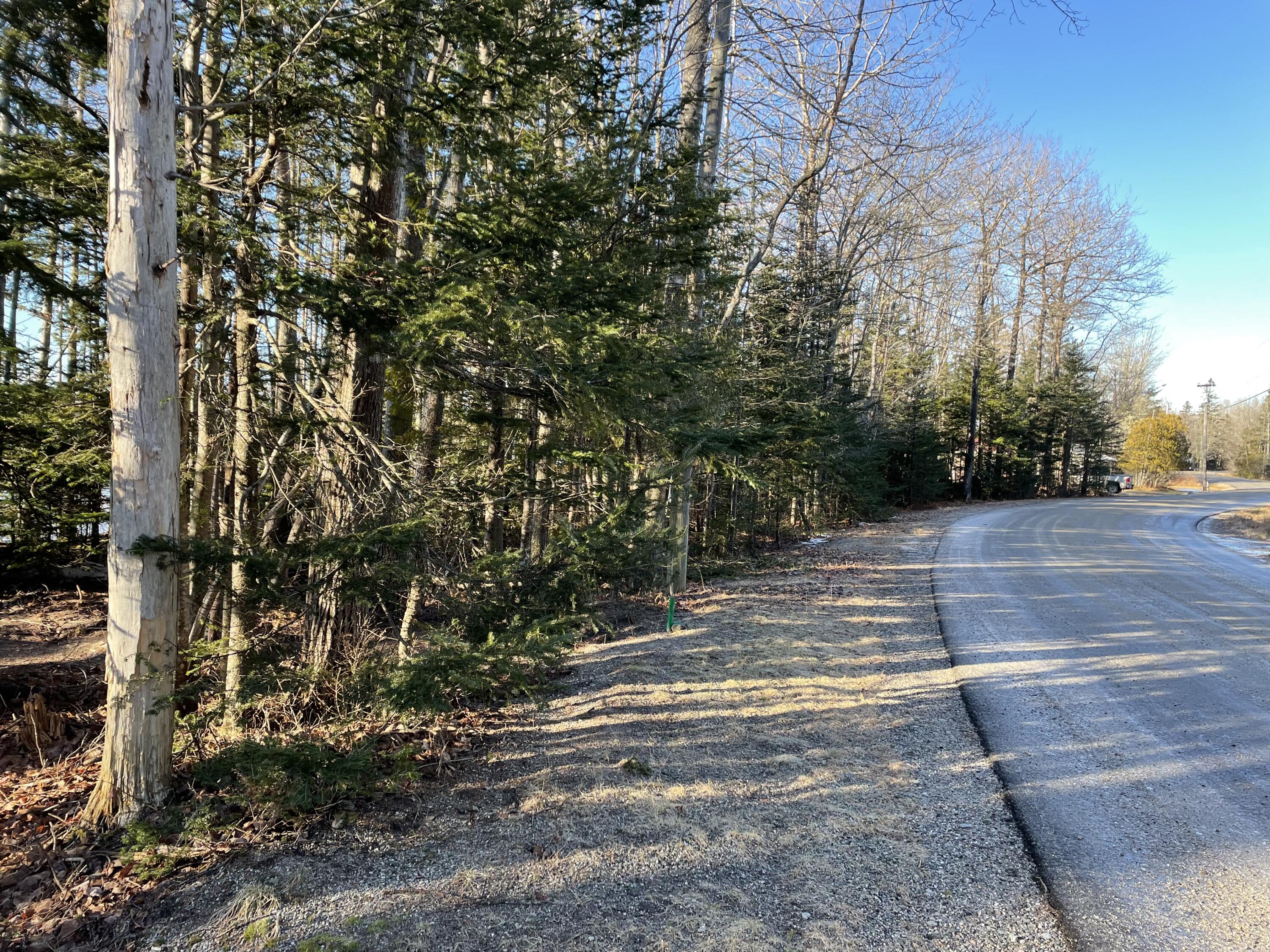 Lot 178 Ray's Point Road Milbridge, ME 04658 - Photo 4 of 4 IMG-0853