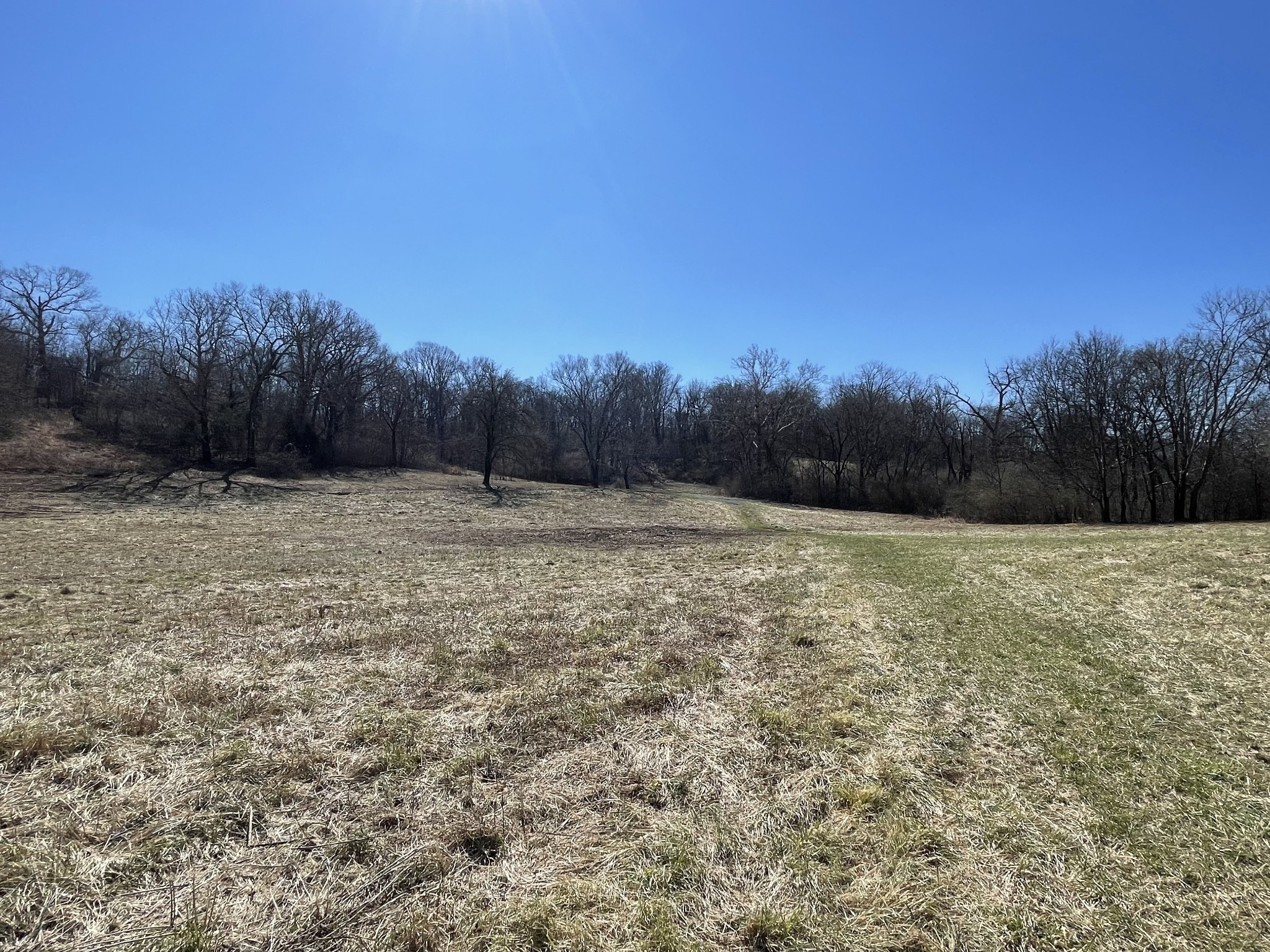 300 East Robertson Road Castalian Springs, TN 37031 - Photo 50 of 70 Gallery Image 50