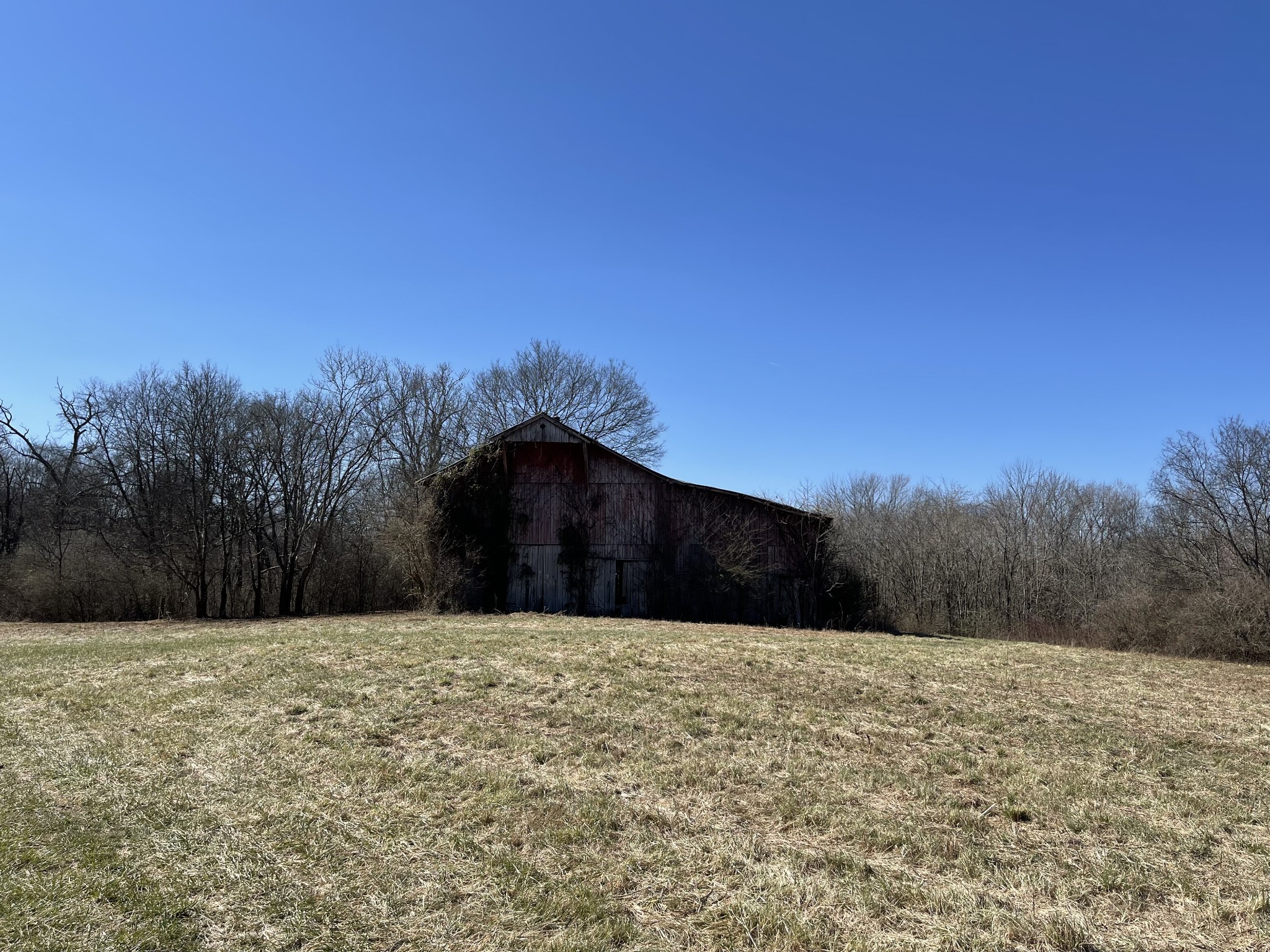 300 East Robertson Road Castalian Springs, TN 37031 - Photo 54 of 70 Gallery Image 54