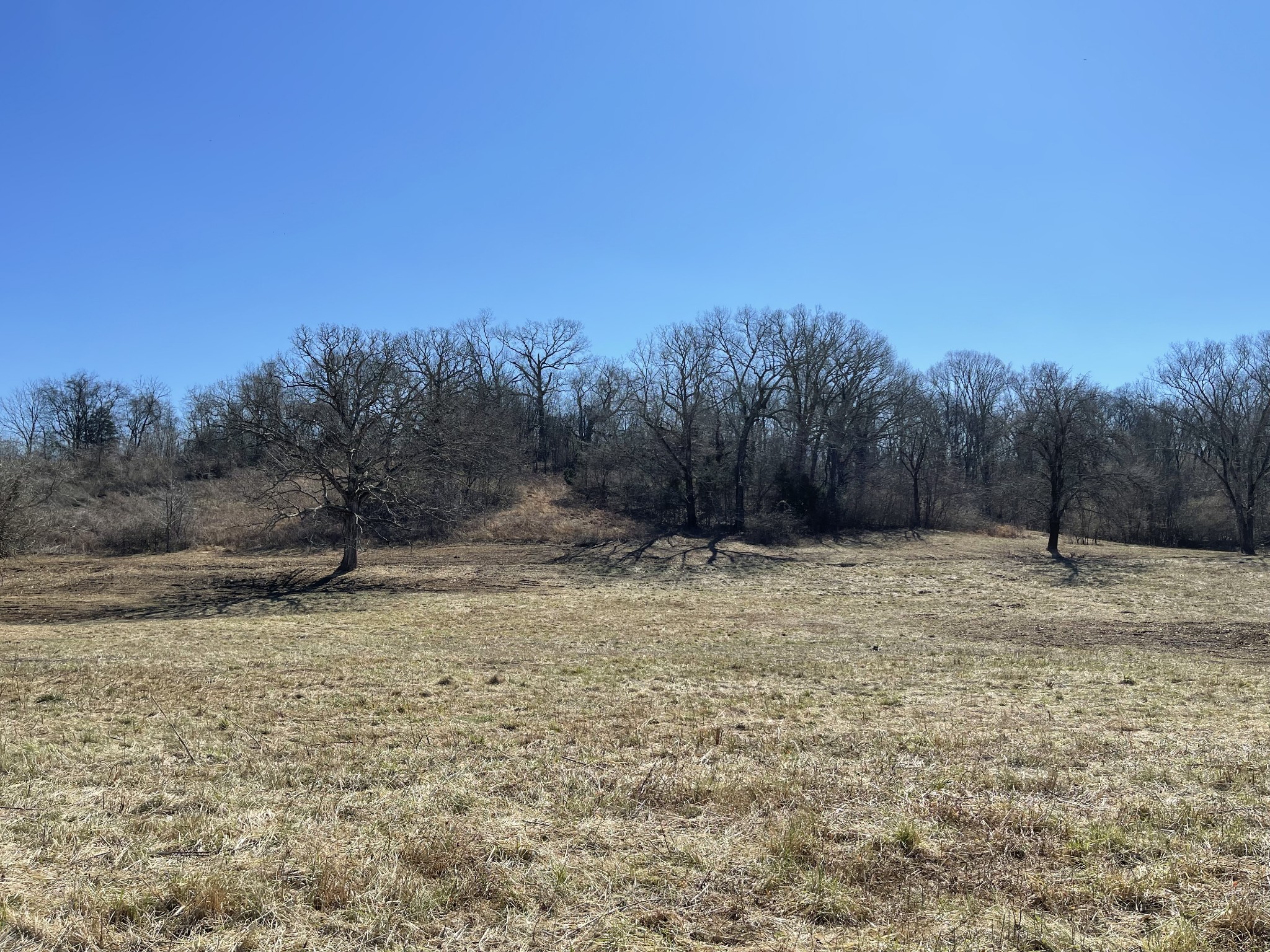 300 East Robertson Road Castalian Springs, TN 37031 - Photo 56 of 70 Gallery Image 56