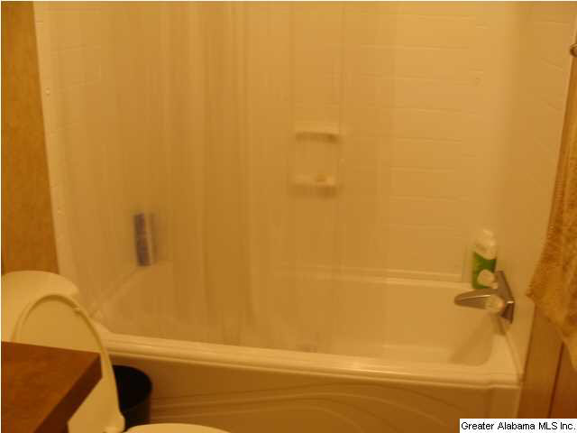 13899 Milldale Road Brookwood, AL 35444 - Photo 14 of 22