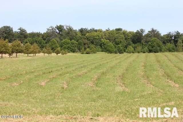14466 North Greenbriar Road Carterville, IL 62918 - Photo 1 of 9 Gallery Image 1