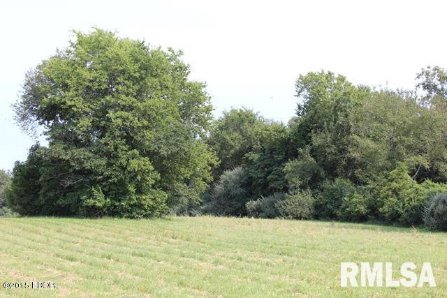 14466 North Greenbriar Road Carterville, IL 62918 - Photo 2 of 9 Gallery Image 2
