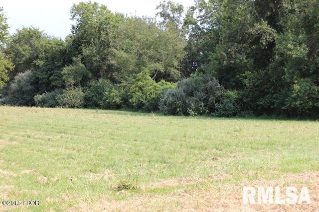 14466 North Greenbriar Road Carterville, IL 62918 - Photo 3 of 9 Gallery Image 3
