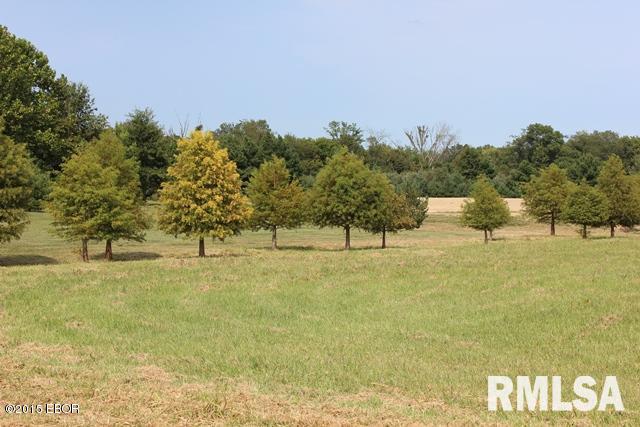 14466 North Greenbriar Road Carterville, IL 62918 - Photo 4 of 9 Gallery Image 4