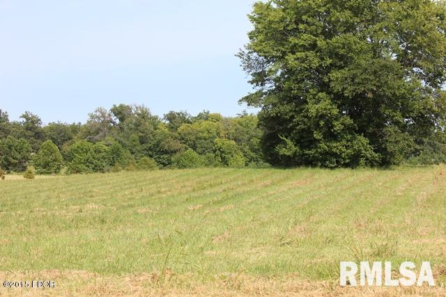 14466 North Greenbriar Road Carterville, IL 62918 - Photo 5 of 9 Gallery Image 5