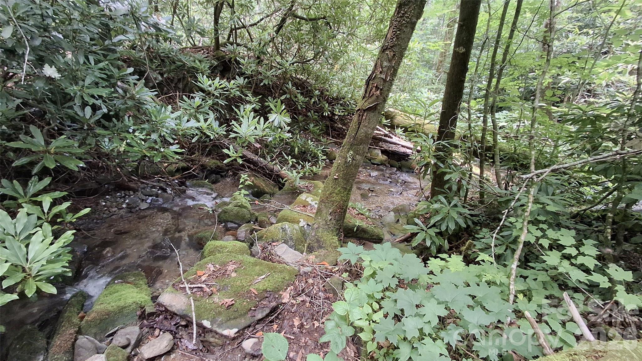 0 Dry Creek Road Robbinsville, NC 28771 - Photo 9 of 20