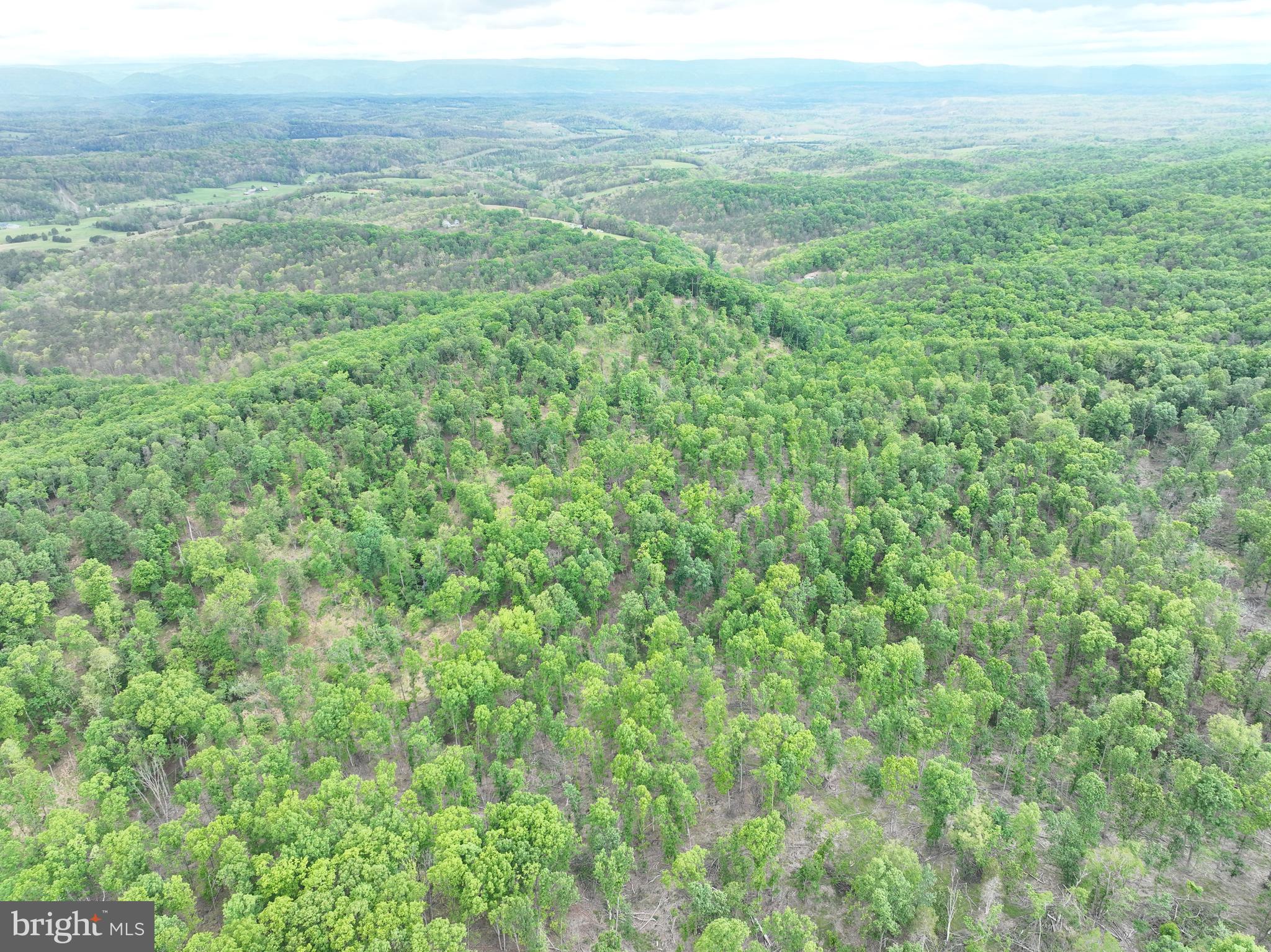 40.15-ac Middle Ridge Road Burlington, WV 26710 - Photo 47 of 47