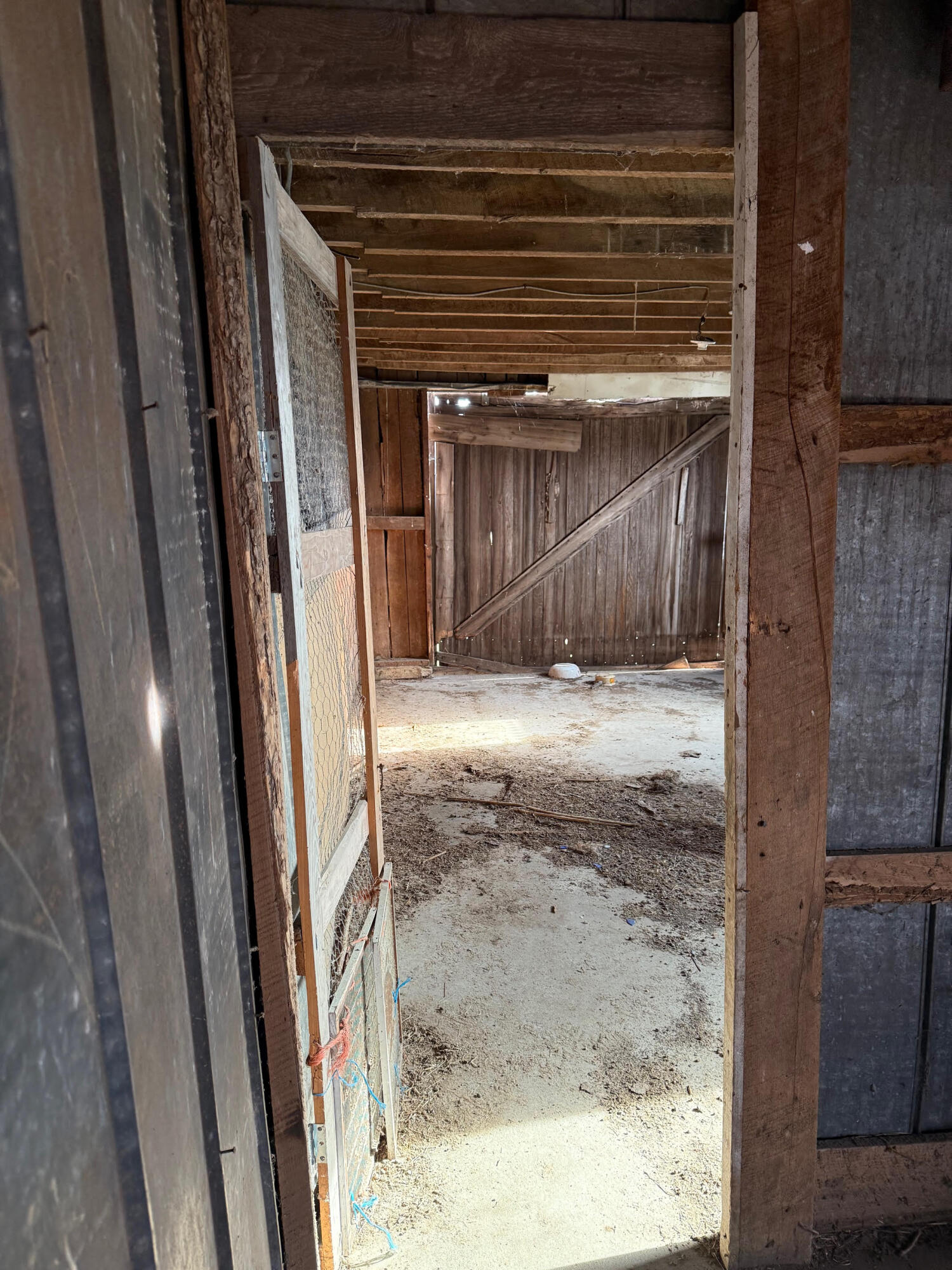 7321 8 Mile Road Kaleva, MI 49645 - Photo 6 of 34 Barn