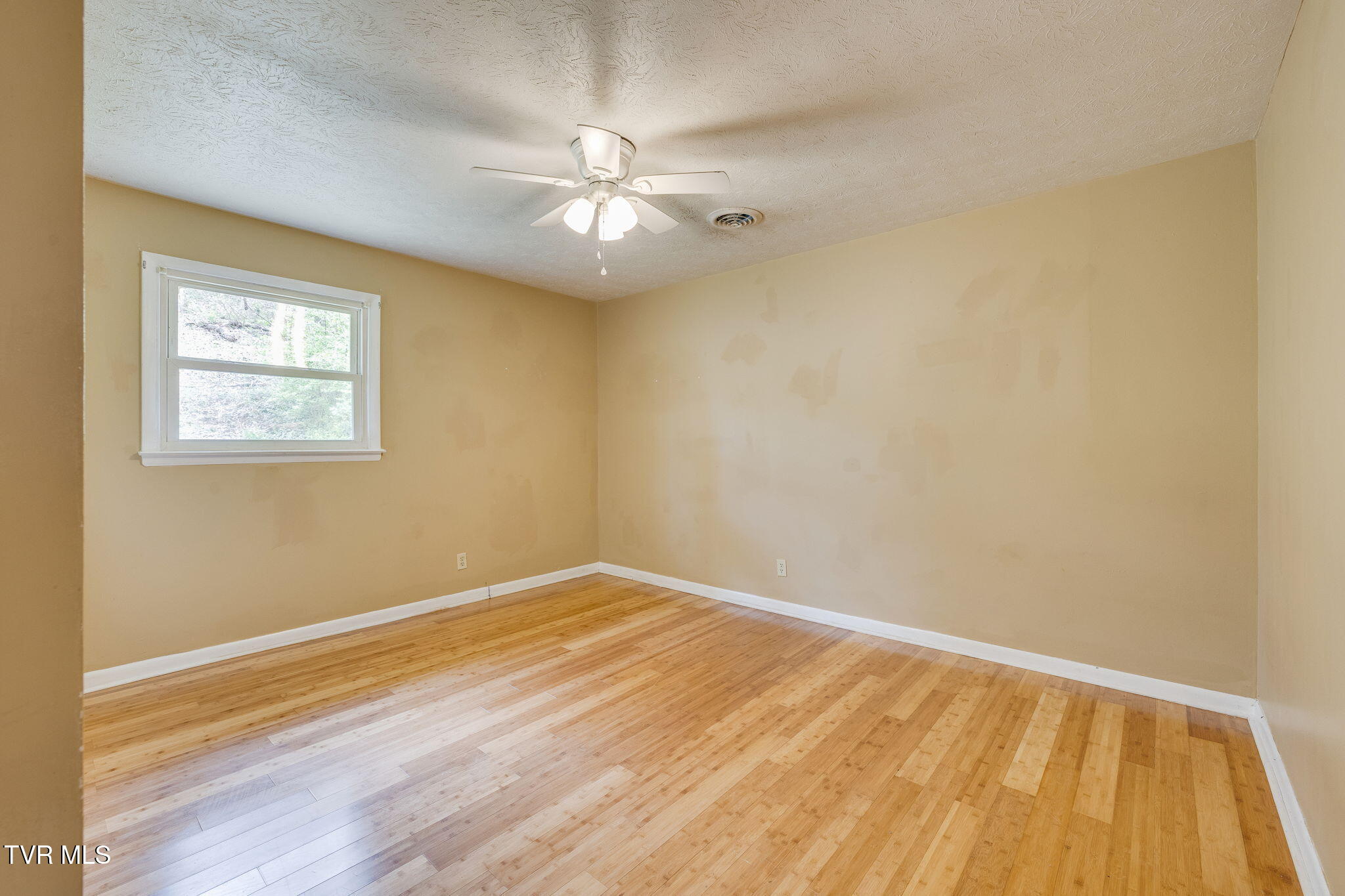 309 Summerville Road Kingsport, TN 37663 - Photo 18 of 34 summer18