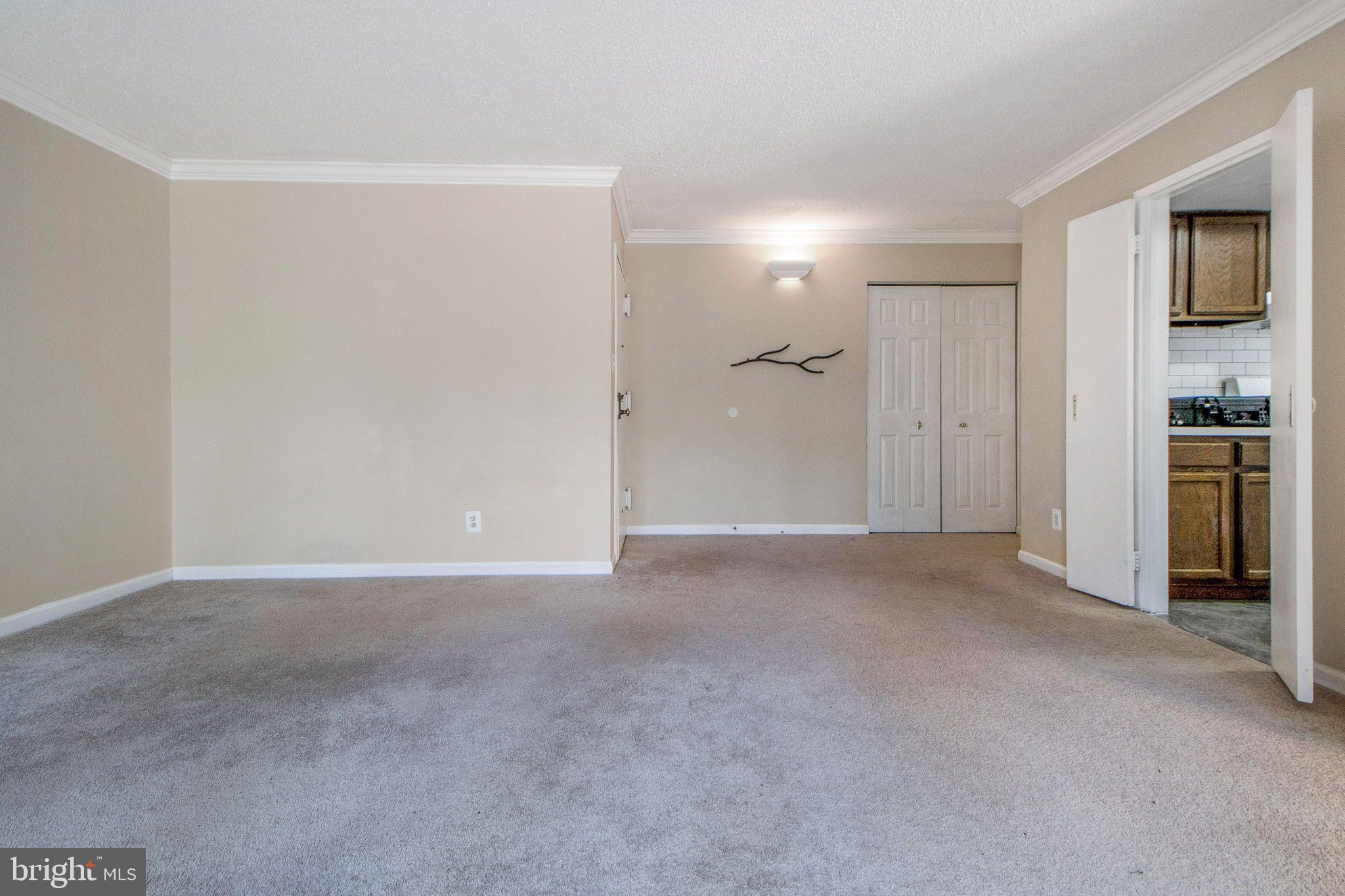 11841 Shire Court, Unit 21B Reston, VA 20191 - Photo 5 of 35 Huge Living Area