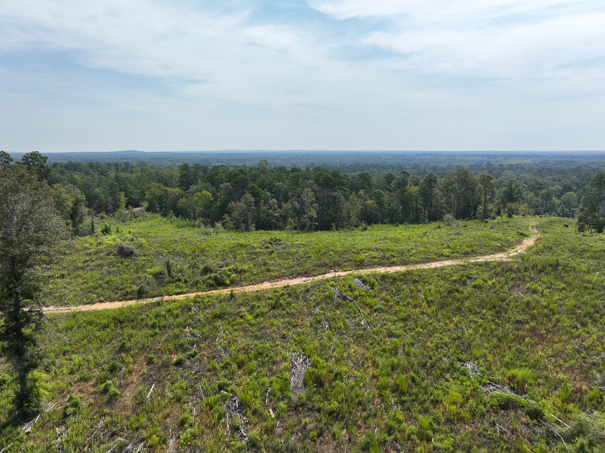 1 County Road 3725 Colmesneil, TX 75938 - Photo 12 of 33