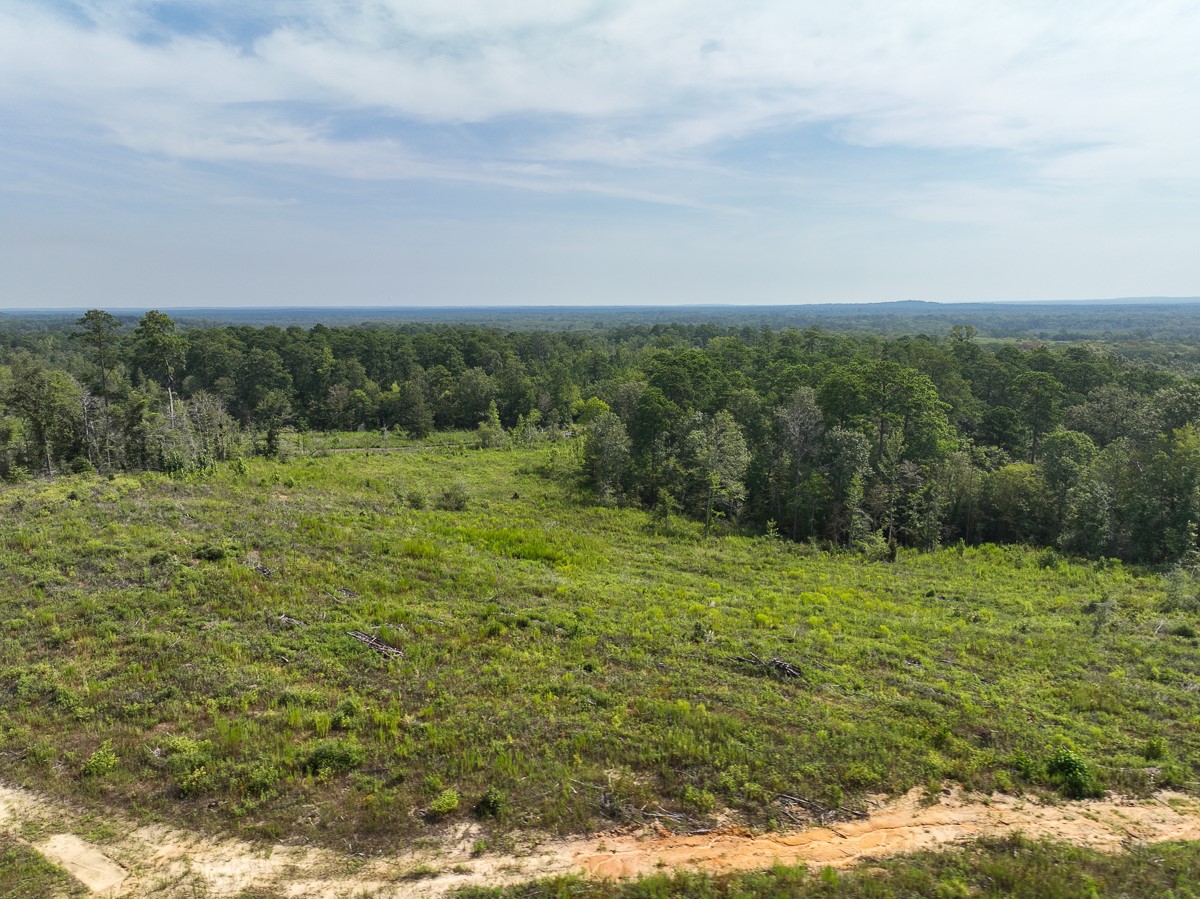 1 County Road 3725 Colmesneil, TX 75938 - Photo 13 of 33