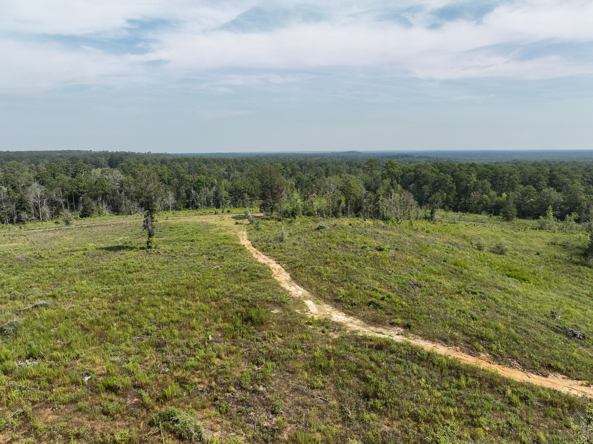 1 County Road 3725 Colmesneil, TX 75938 - Photo 14 of 33