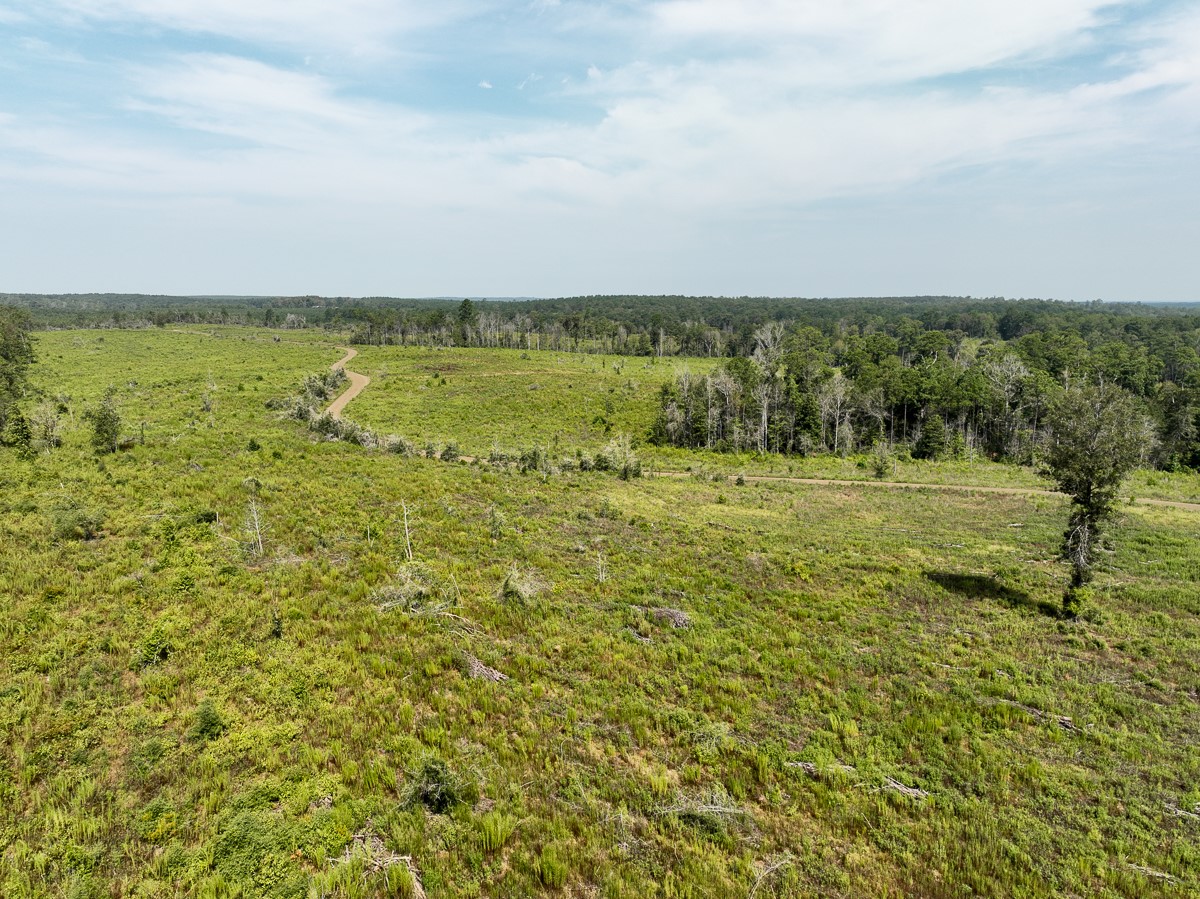 1 County Road 3725 Colmesneil, TX 75938 - Photo 15 of 33