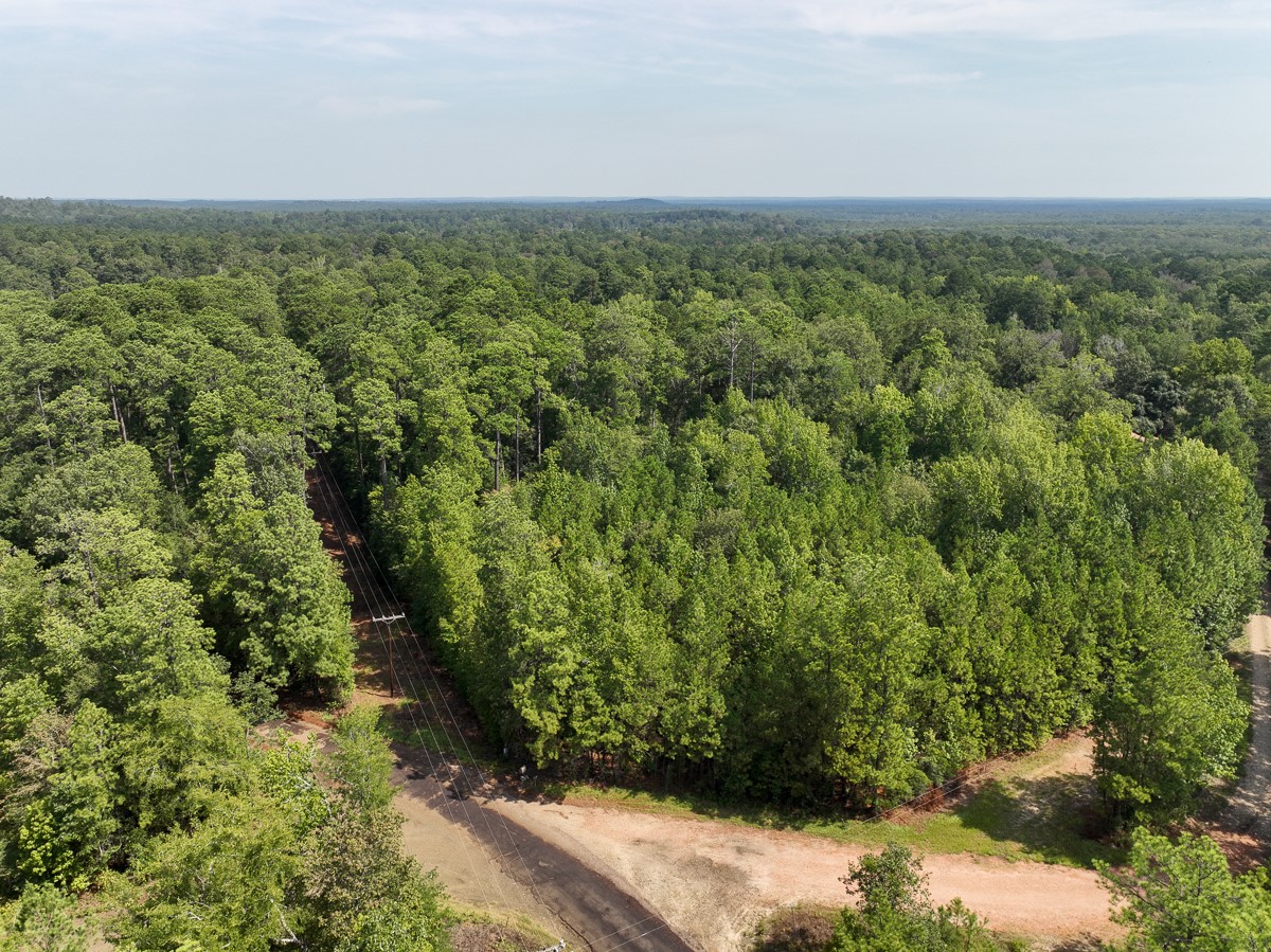 1 County Road 3725 Colmesneil, TX 75938 - Photo 16 of 33