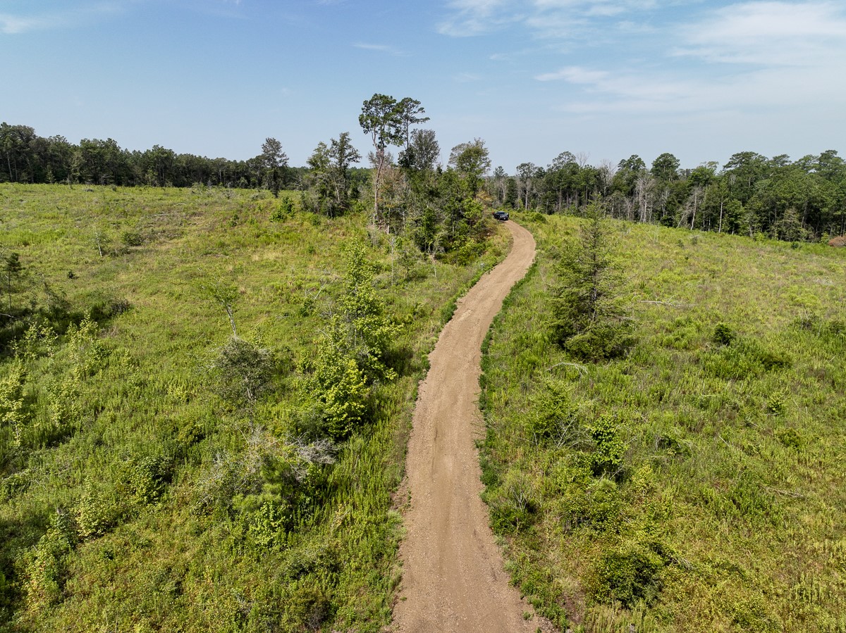 1 County Road 3725 Colmesneil, TX 75938 - Photo 18 of 33