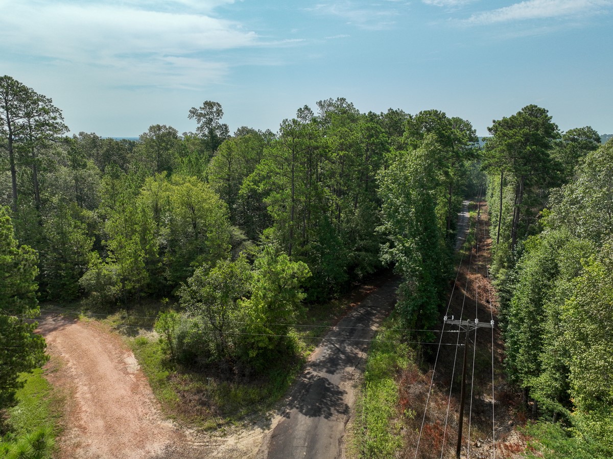 1 County Road 3725 Colmesneil, TX 75938 - Photo 19 of 33