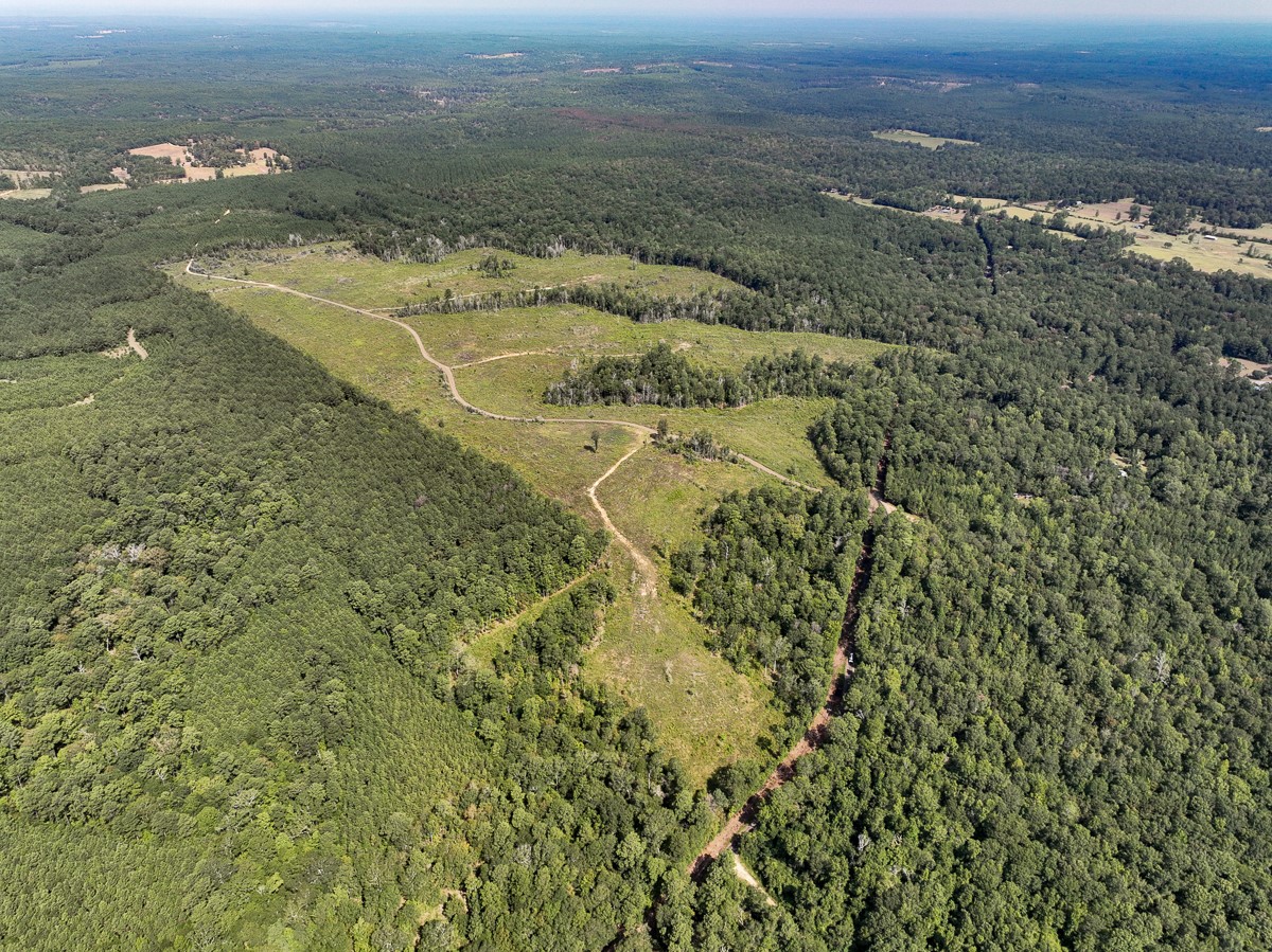1 County Road 3725 Colmesneil, TX 75938 - Photo 2 of 33