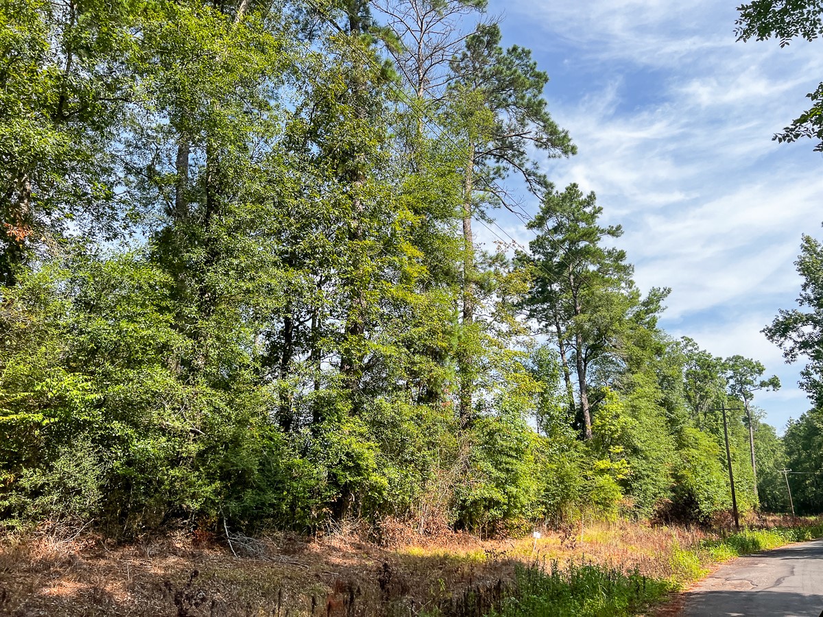 1 County Road 3725 Colmesneil, TX 75938 - Photo 22 of 33