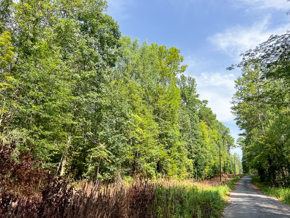 1 County Road 3725 Colmesneil, TX 75938 - Photo 24 of 33