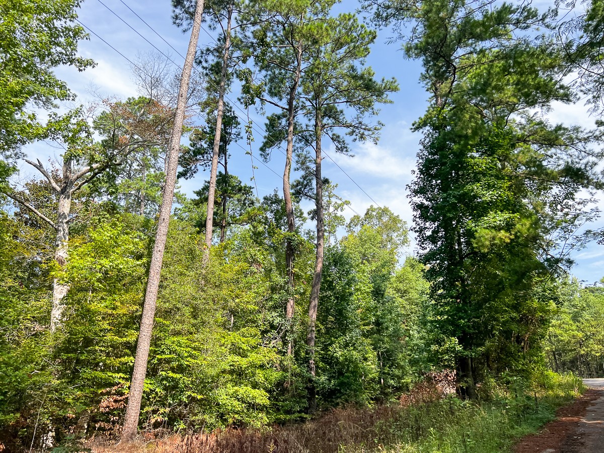 1 County Road 3725 Colmesneil, TX 75938 - Photo 25 of 33