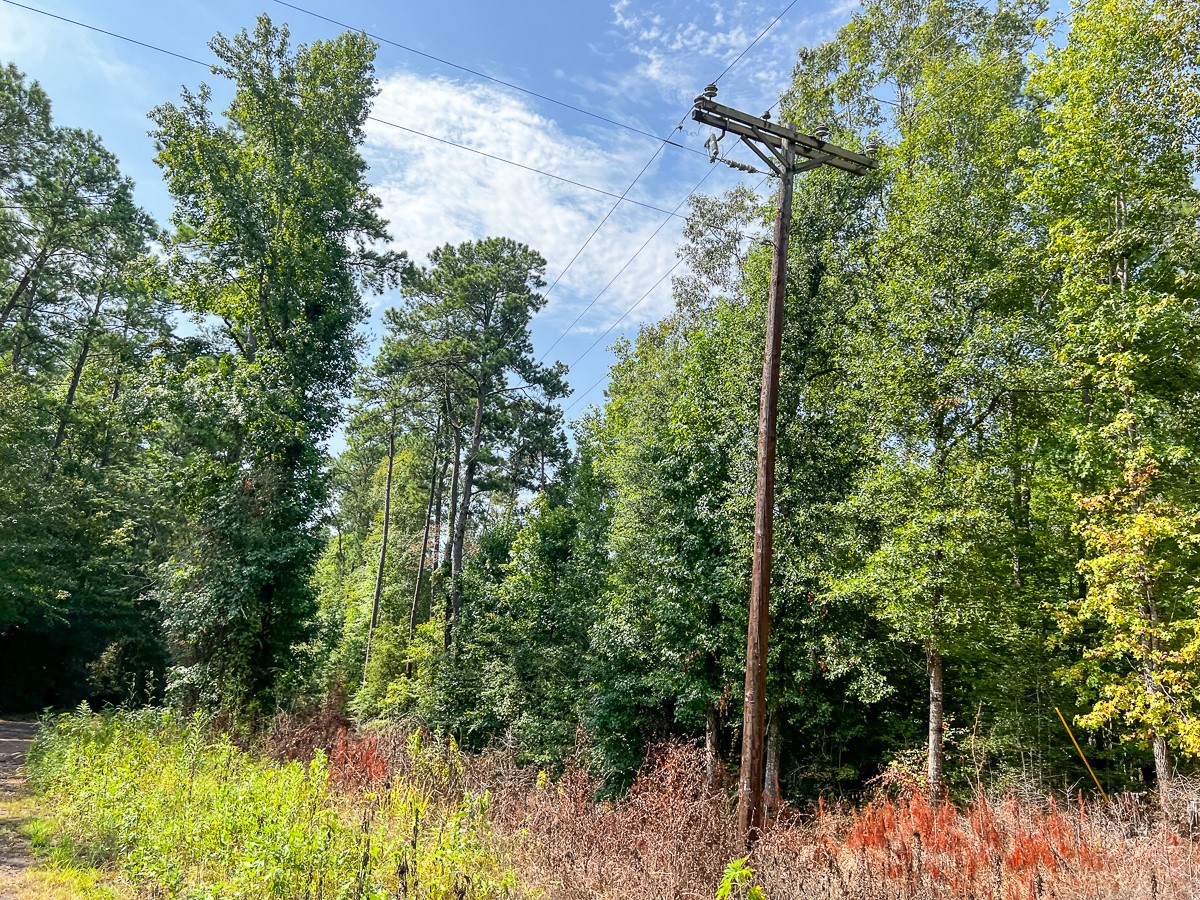 1 County Road 3725 Colmesneil, TX 75938 - Photo 26 of 33
