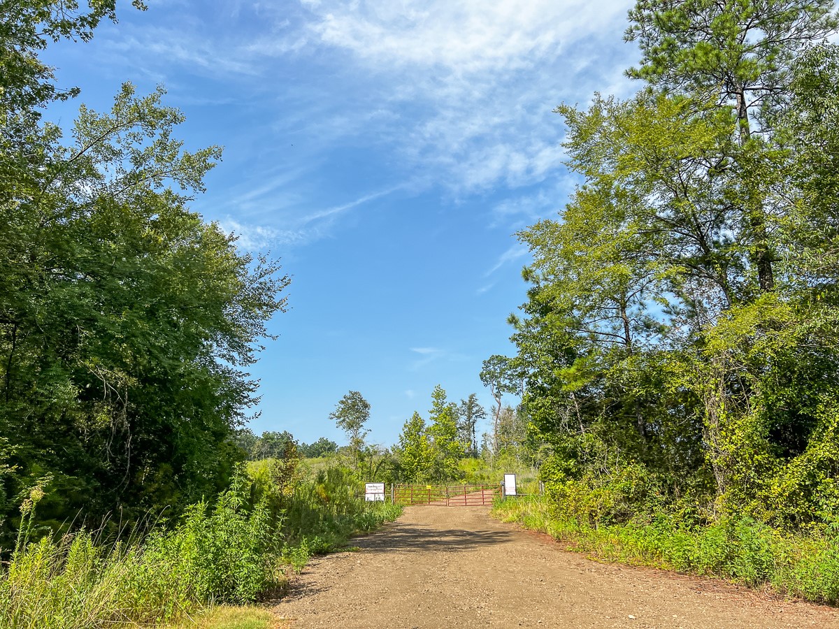 1 County Road 3725 Colmesneil, TX 75938 - Photo 27 of 33