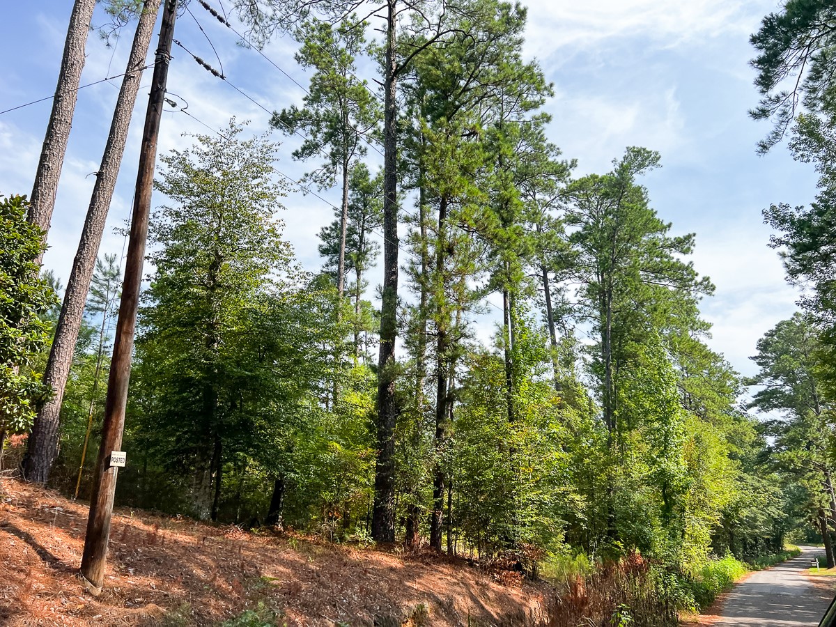 1 County Road 3725 Colmesneil, TX 75938 - Photo 28 of 33