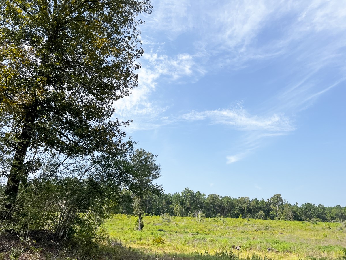 1 County Road 3725 Colmesneil, TX 75938 - Photo 29 of 33