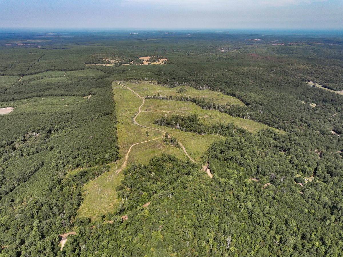 1 County Road 3725 Colmesneil, TX 75938 - Photo 3 of 33