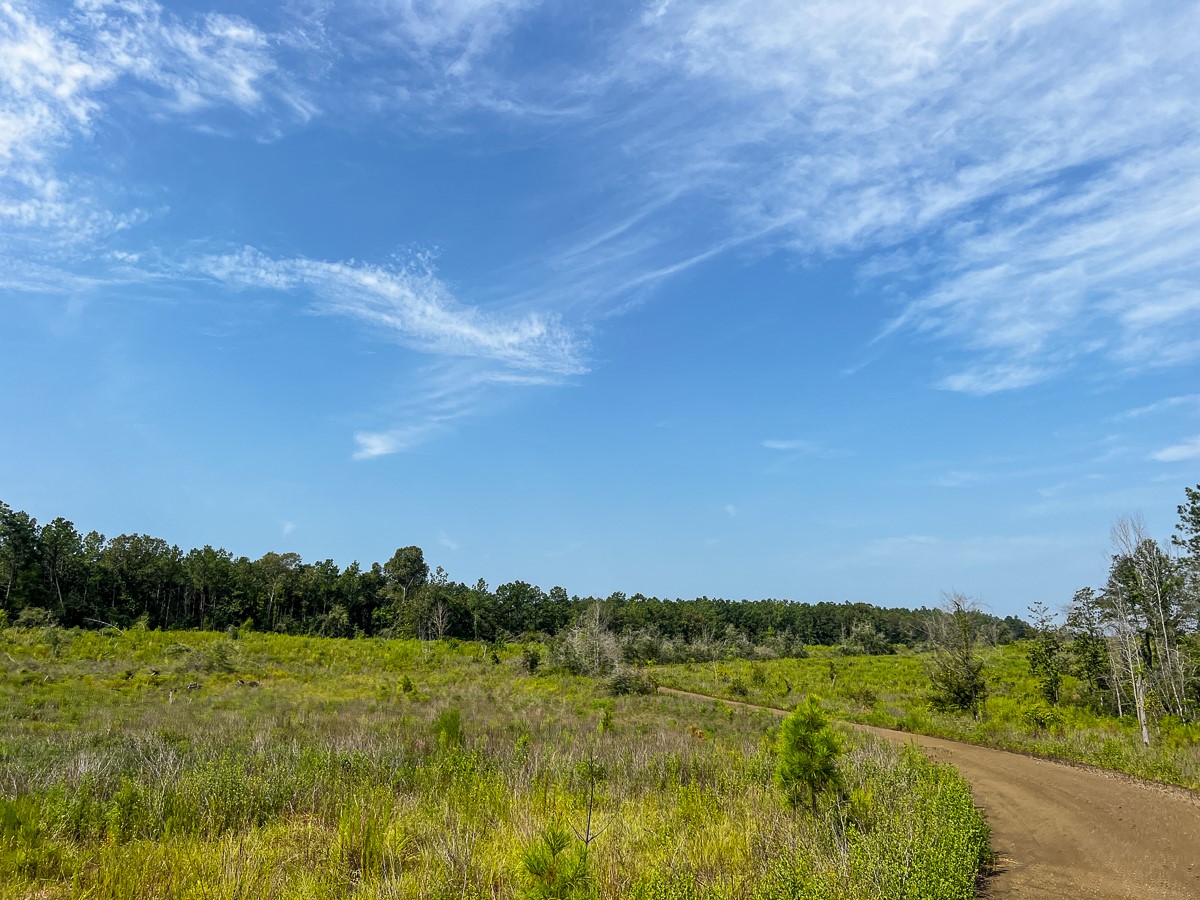 1 County Road 3725 Colmesneil, TX 75938 - Photo 31 of 33
