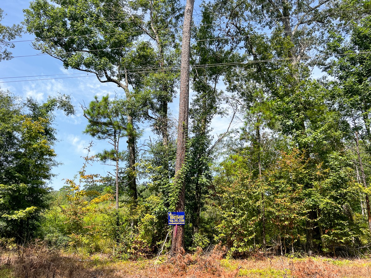 1 County Road 3725 Colmesneil, TX 75938 - Photo 33 of 33