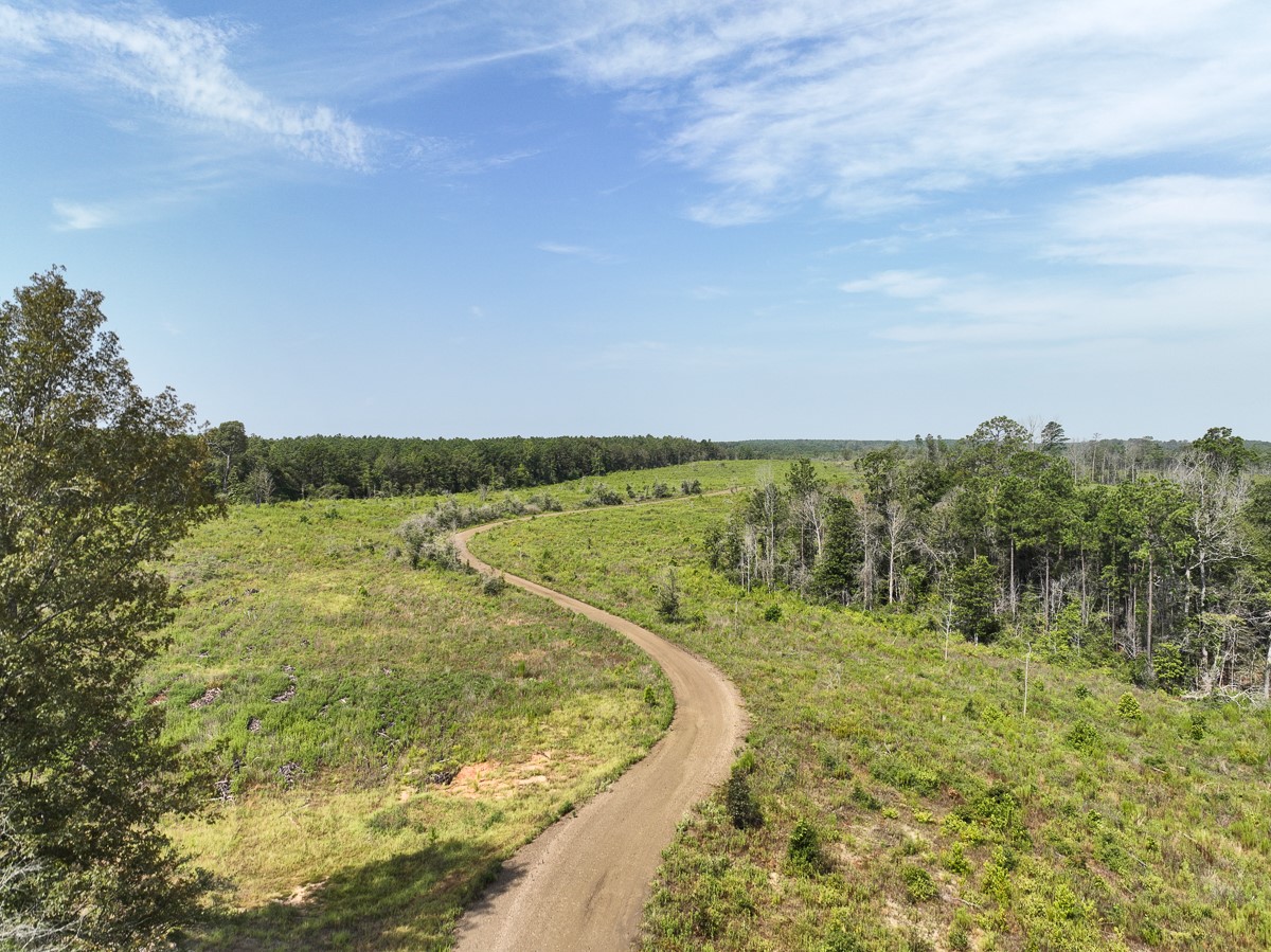 1 County Road 3725 Colmesneil, TX 75938 - Photo 4 of 33