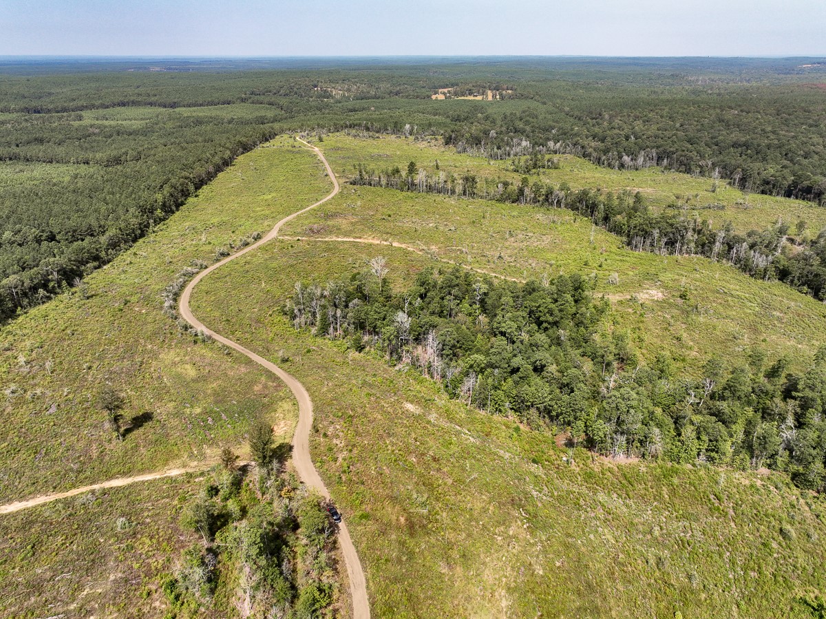 1 County Road 3725 Colmesneil, TX 75938 - Photo 5 of 33